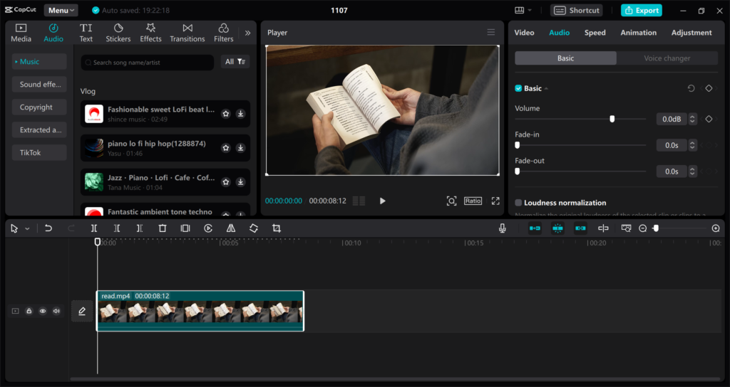 Adding and Editing Audio Tracks of capcut