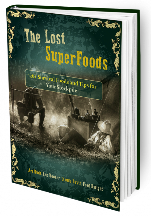 What Is The Lost SuperFoods Book?